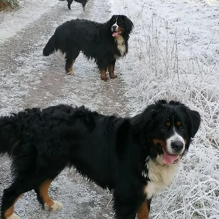 Апартаменты U Bernaku Абертами