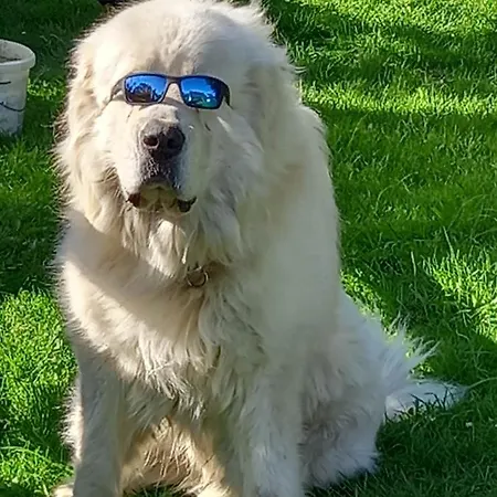 Апартаменты U Bernaku Абертами