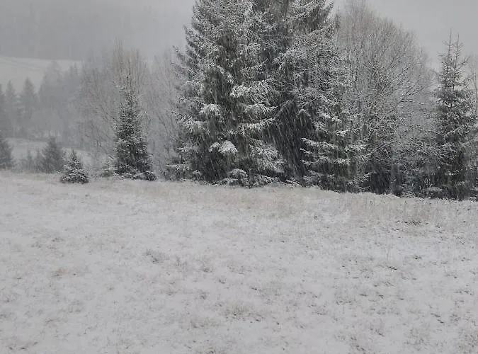 Lägenhet U Bernaku Abertamy