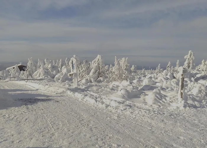 U Bernaku Lägenhet Abertamy