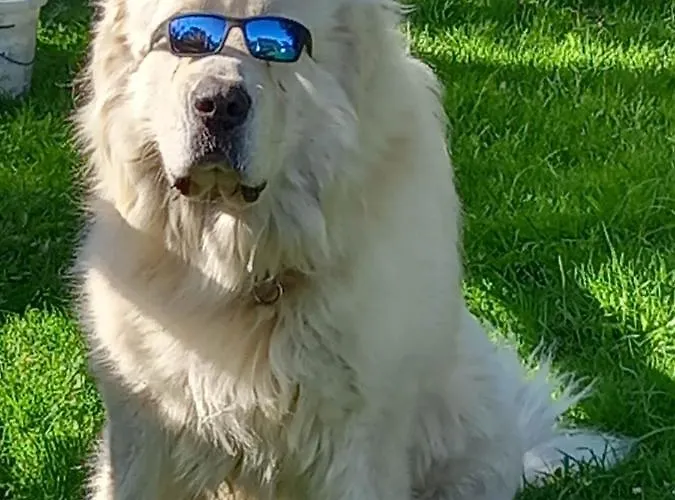 Lägenhet U Bernaku Abertamy